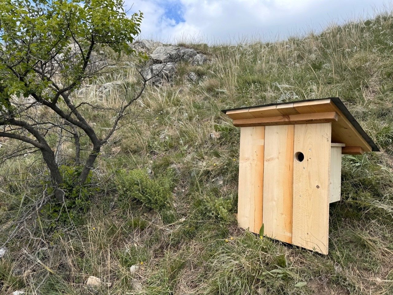 Bild 3_Biodiversität.jpg