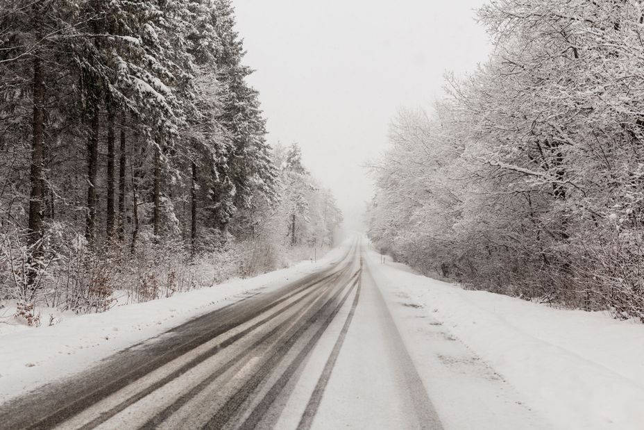 road-forest-winter.jpg