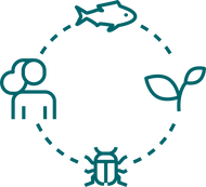 shutterstock_2035454429 [Konvertiert].png